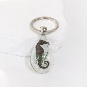 Transparent (from 6) / 2#YK