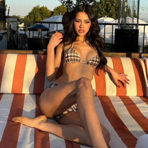 Wholesale Jennie's Same Niche High-End Retro Plaid Sexy Split Bikini Sexy Small Breast Hot Spring Swimsuit