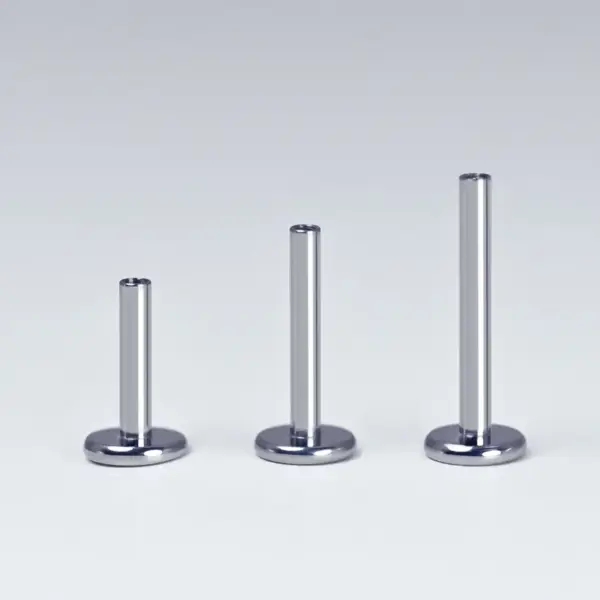 1 Piece Titanium Alloy Simple Style Lip Rings Solid Color Ion Plating (IP) Lip Rings Ear Cartilage Rings & Studs