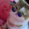 Wholesale Fashion Trend Pet Sunglasses Mini Personality Cat Prince Mirror Small Dog Glasses Novelty Funny Sunglasses
