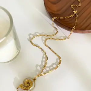 White Conch / One Size / N0026