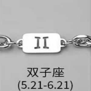 Gemini necklace bracelet combination