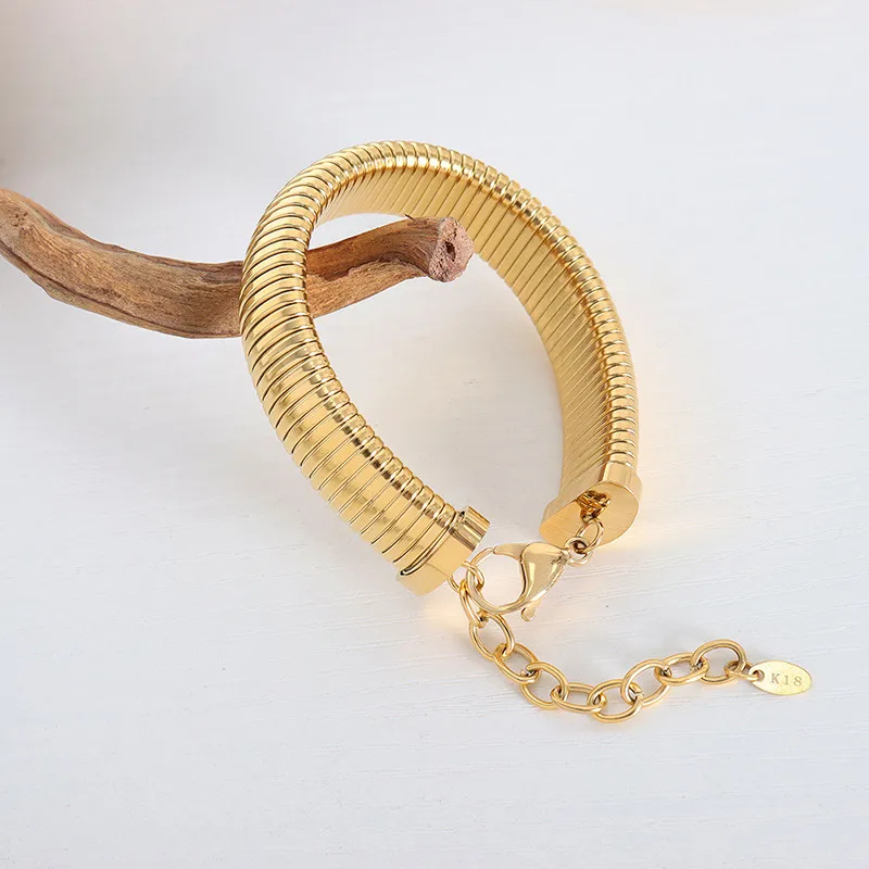 Wholesale PVD Coated Real Gold Plated 18K Gold Solid Color Titanium Steel Simple Style Waterproof Non Tarnish Bracelets Necklace