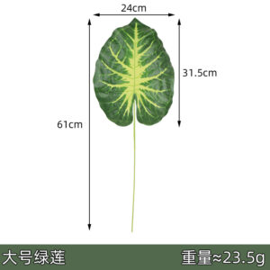 Large green lotus leaves