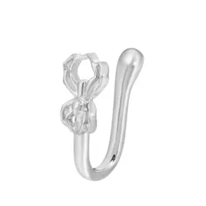 17 Bright Silver Spider 0712