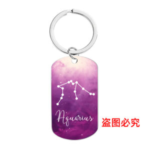 (Aquarius) CW0309 keychain Silver