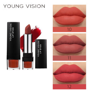 Wholesale YOUNG VISION Dumb but not dry 12 color single lipstick