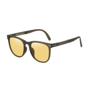 PC (ordinary lens) / Amber Coffee (Generation)