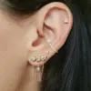 Wholesale 18K Gold Plated Jewelry 304 Stainless Steel Zircon Tassel Earrings Waterproof Non-Fading Vintage Classic Accessories
