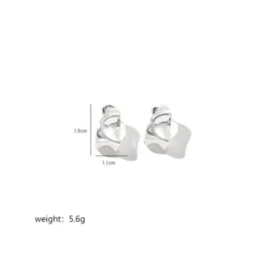 Silver / Geometric Irregular Earrings