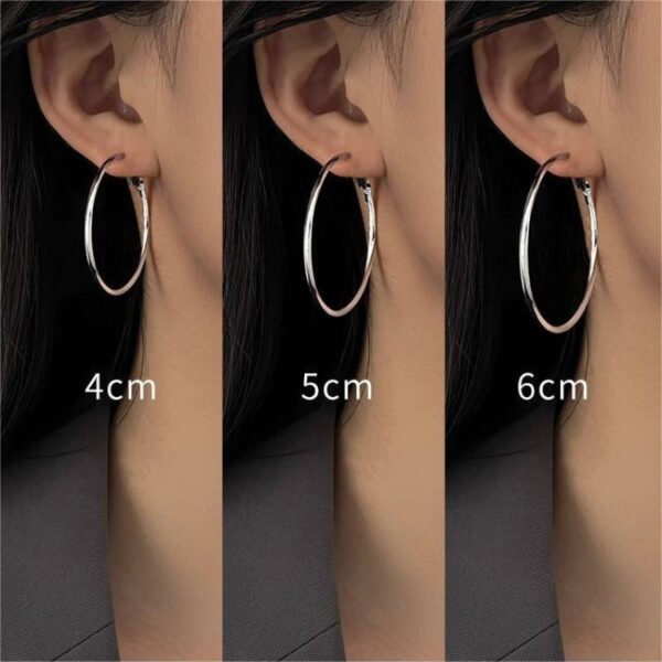 oly-06ecb7eaa12cebe8c6fac3568d57b93f Wholesale big ring earrings women tide circle earrings simple cold style temperament net red earrings