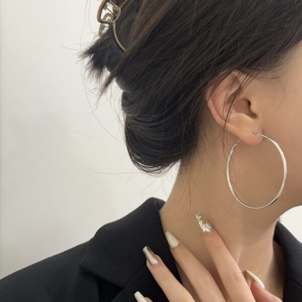 oly-0769b7fbbb247ba1af0580c7c5681539 Wholesale big ring earrings women tide circle earrings simple cold style temperament net red earrings
