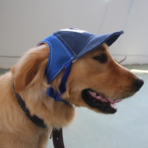 Wholesale Cute Pet Cap Golden Hair Koji Fa Dou Teddy Small Medium and Large Dog Dog Baseball Cap with Exposed Ears