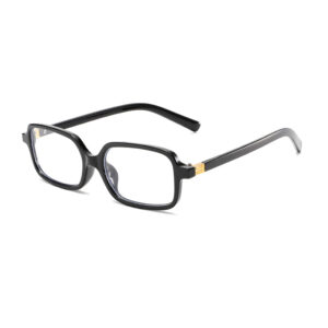 Black frame transparent (metal hinge)