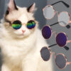oly-0af9df943cc7245d5e0f751a07d593f1 Wholesale Pet eyewear manufacturer offers in-stock hip-hop and quirky eyewear for cats and dogs, trendy accessories, and pet sunglasses.
