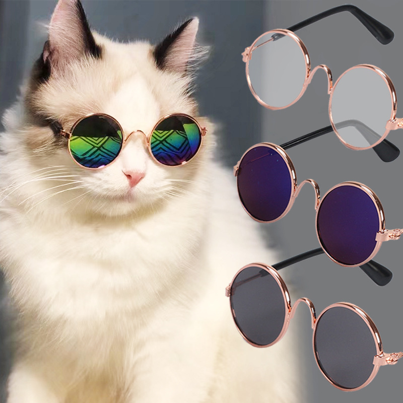 Wholesale Pet eyewear manufacturer offers in-stock hip-hop and quirky eyewear for cats and dogs, trendy accessories, and pet sunglasses.