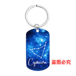 (Capricorn) CW0308 keychain Silver