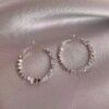 Wholesale Broken silver-niche light luxury design hoop earrings plain hoop unique temperament explosion high-end earrings