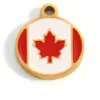 Wholesale National Flag Pendant In 304 Stainless Steel With 0.03µm PVD Coated 18K Real Gold Plating And Enamel Finish, 1 PCS Package