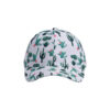 oly-0f49041739af550163989eed6acf90d0 Wholesale Printed Cactus Baseball Hat Men and Women Korean Fashion Joker Turtle Cap