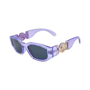 black and gray transparent purple frame