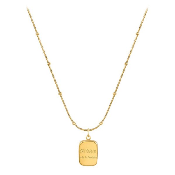 oly-1129c322c4556308efe720b578b578fb Wholesale Small Brics Titanium Steel Necklace Women's Light Luxury Niche High-end Sense Woolen Chain Clavicle Chain Accessories No Fading