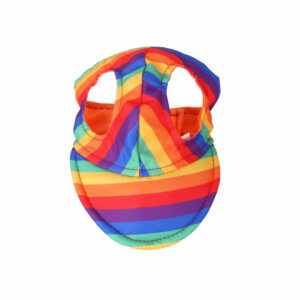 Pet sun hat rainbow style / Pet sun hat M