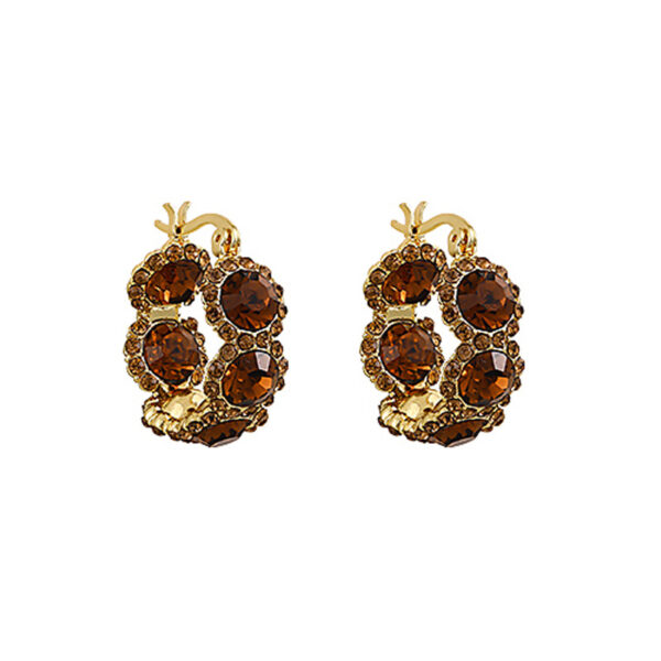 oly-130b751f9741e464518b364c7bd9aeda Wholesale brown Crystal Ring Ear Buckle Female Style Light Luxury Earrings Internet Celebrity Explosions High-end Ear Accessories for Women