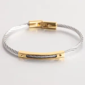 Steel / Gold