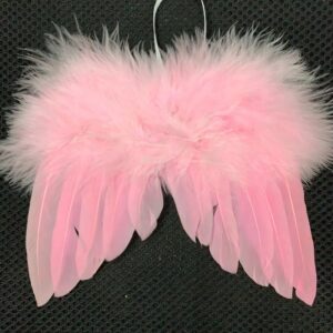 18x14 pink