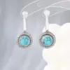 Wholesale 1 Pair Casual Elegant Glam Round Oval Owl Copper Zircon Electroplated Women's Ear Studs