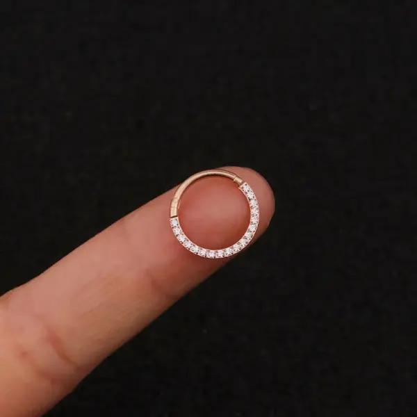 Wholesale 1 Piece 316L Stainless Steel Zircon Ear Cartilage Rings & Studs Geometric Waterproof Non Tarnish Surgical Steel Ear Cartilage Rings & Studs