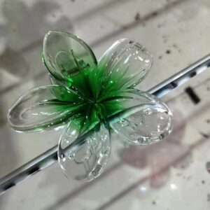 Cyan franthemum / Standard