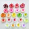 Wholesale Curly Flower Clip Women's Fashion Hairpin High-end Women's Shark Clip Hair Accessories