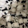 oly-201e6a557da5ba04587989bb5af4e221 Wholesale Cute Doll Girl Heart School Bag Pendant Plush Creative Doll Cartoon Couple Gift