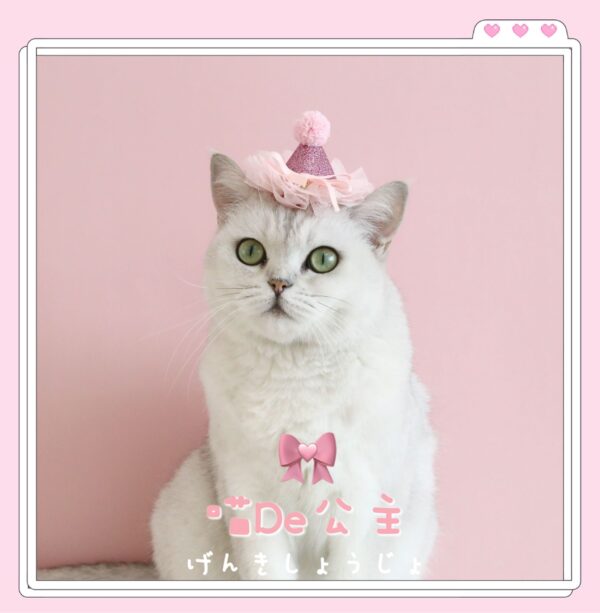 oly-21a63b73adaee12faa38d7c01cb8a120 Wholesale Pet Cat Dog Fairy Lace Sequins Stereo Birthday Hat Five-pointed Star Headdress Bow Wedding Princess