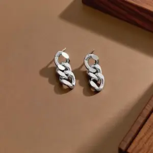 E0105-Chain-Earrings-Steel Color