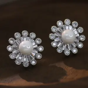NS934-17 / Zircon