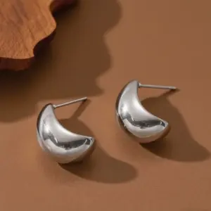 E0342-C Shape-earrings-steel Color