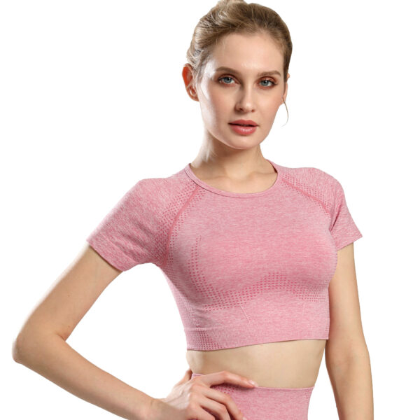 oly-286a5b8bab74102b97ff4e294fbbf0e5 Wholesale Popular Seamless Yoga Clothing Set, Short-Sleeved Jacquard Sports Fitness Clothing, Quick-Drying, Comfortable for Women
