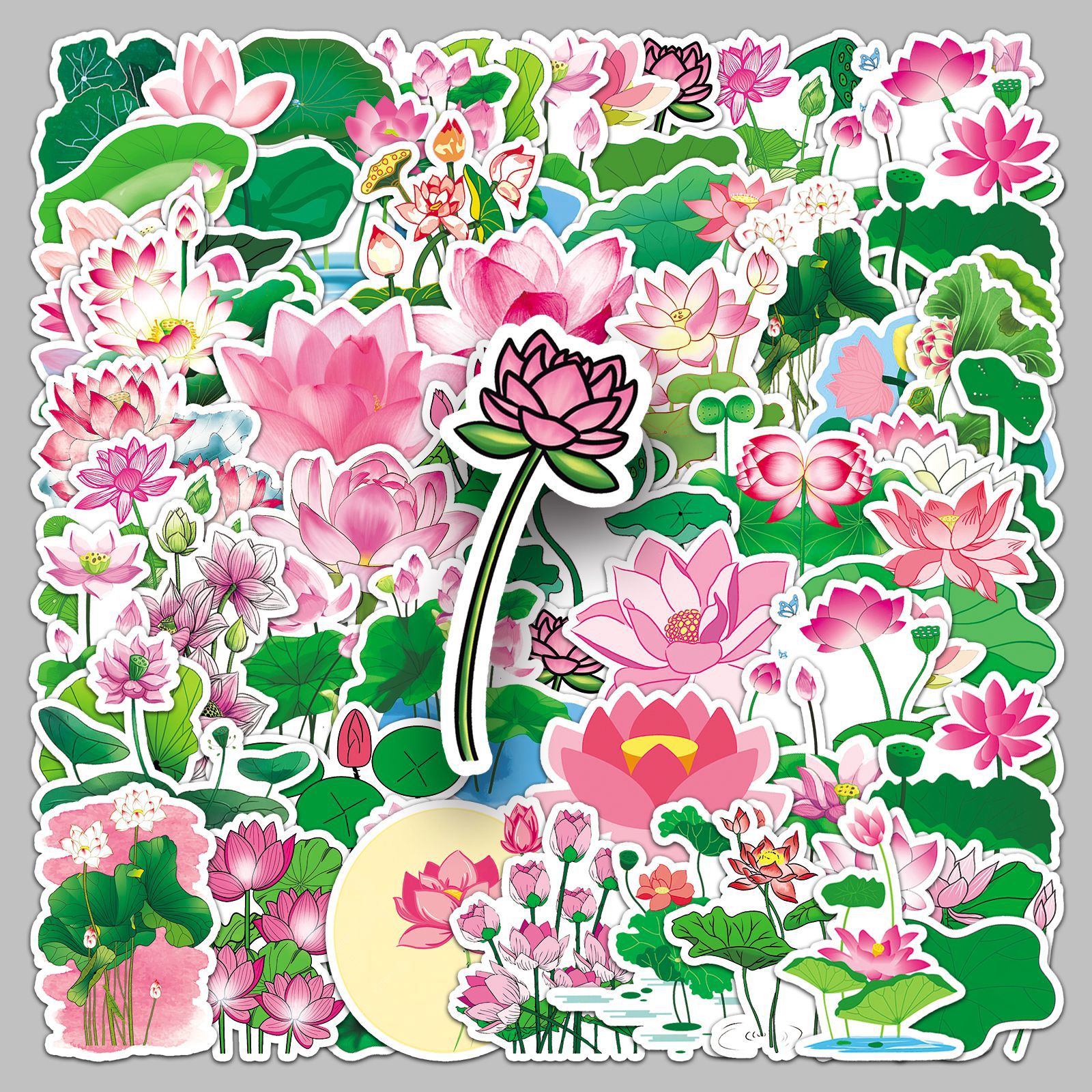 Wholesale 50 lotus lotus leaf cartoon flower plant waterproof graffiti skateboard computer tablet luggage stickers can be landscaped