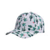 oly-2c54c5088ac5b20b5f10203d1e637e22 Wholesale Printed Cactus Baseball Hat Men and Women Korean Fashion Joker Turtle Cap