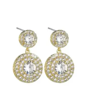 White Zirconium Plated with Real / Gold
