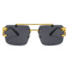 Wholesale Fashion Personality Frameless Leopard Head Double Beam Sunglasses Trend Outdoor Driving Personality Trend Sunglasses
