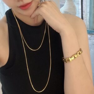 Wholesale 18K Gold Plated Snake Bone Chain Ins Light Luxury Titanium Steel Gold Long Necklace Women's Double Layer Simple Color-free All-match Trendy