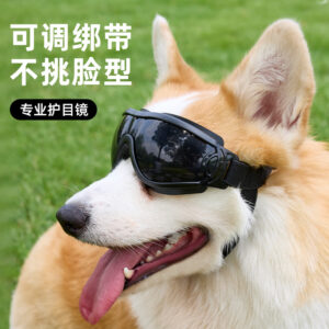 oly-2f0b8dacaf8641dc6c9be6d2ed4a166f Wholesale pet cool glasses UV-resistant adjustable goggles dog sunglasses sunglasses