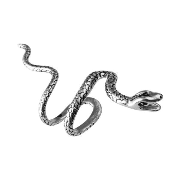 oly-2fc14047344c14512c034ba99fd46045 Wholesale copper snake ear clip adjustable ear bone nail ear clip without ear hole snake-shaped accessories simple style