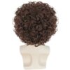 Wholesale Women's Wig Small Roll Fluffy Headgear Halloween Party Playing Wig