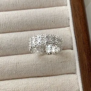 Double-layered Ice and Snow Ring