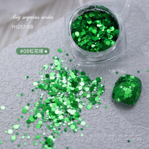 Internet celebrity large sequins-pine green (yh257-08)